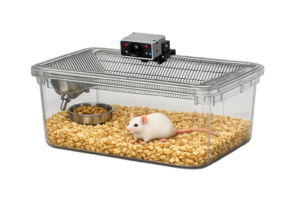 camera tracking animal behavior