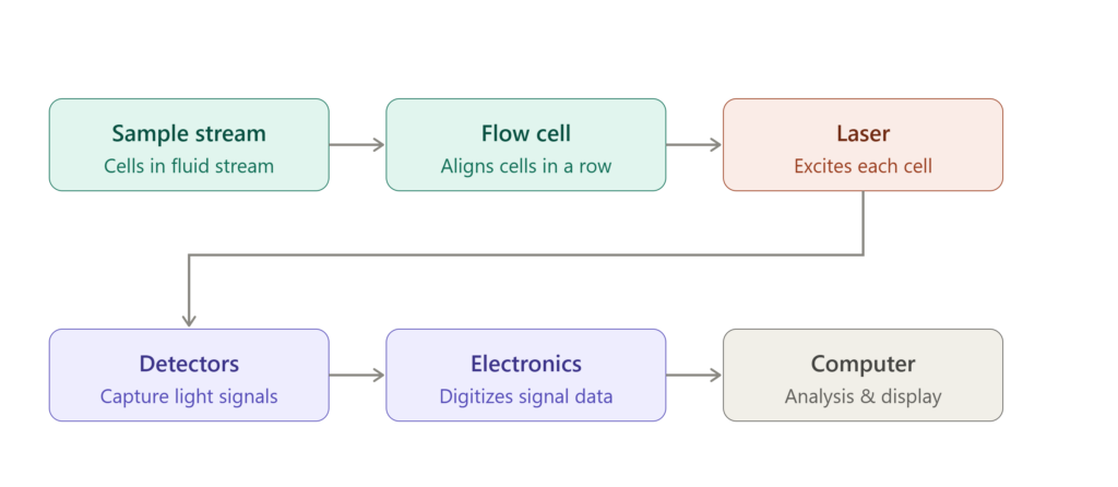 flow cytometer components
